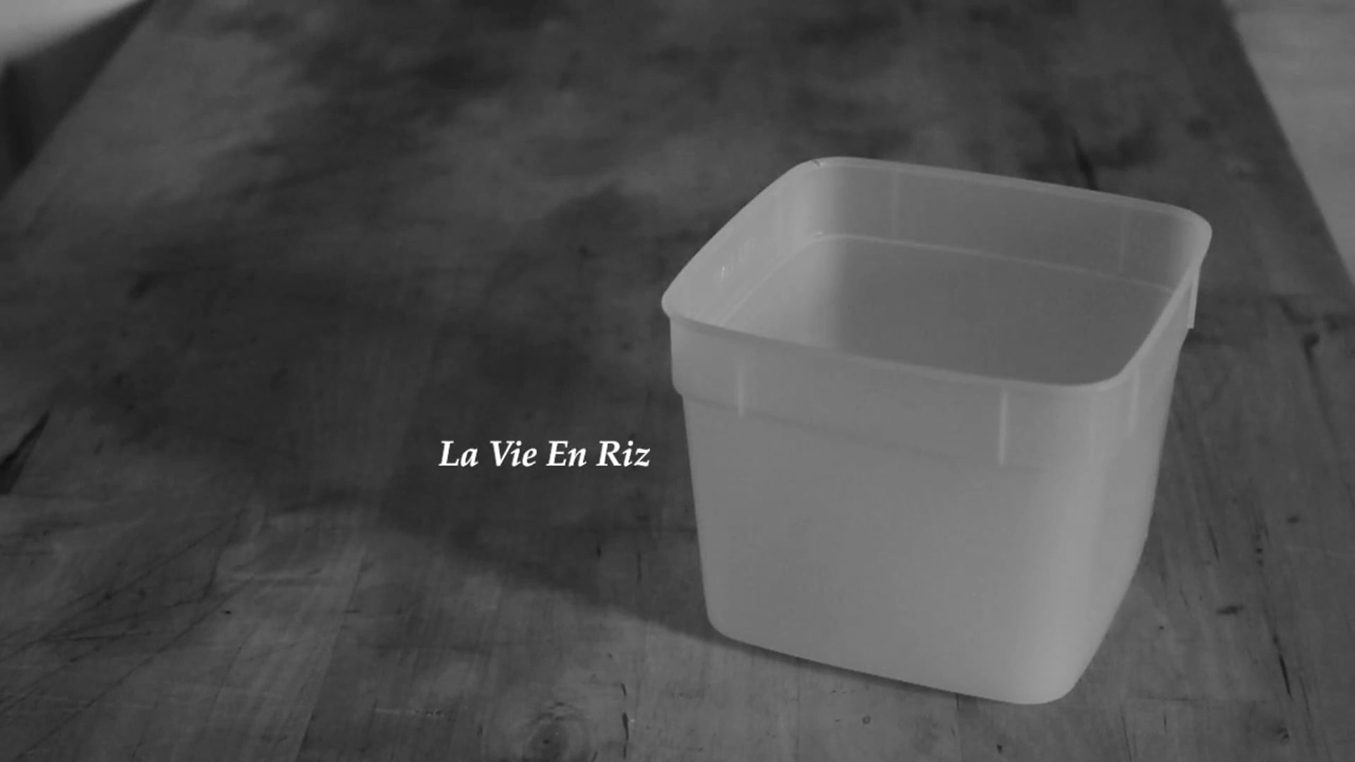 La Vie En Riz