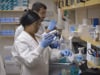 Cancer Resource Center/Cornell - Cancer Research Seminar