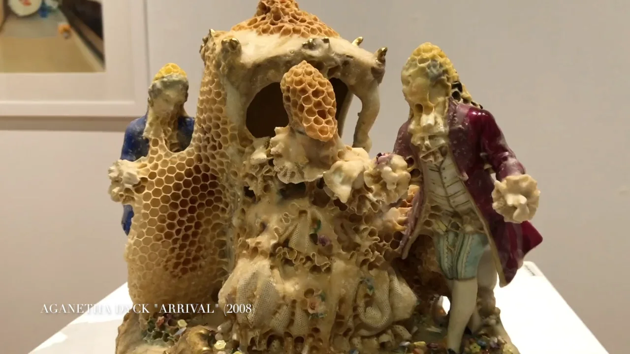 Diana Thorneycroft Available Artwork Michael Gibson Gallery