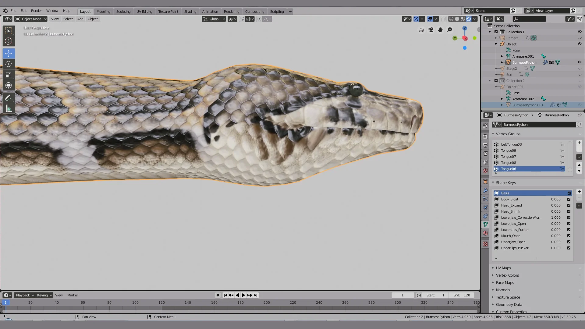 Red Bellied Black Snake 3D Model on Vimeo