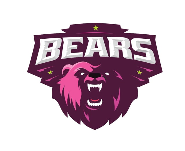 Bears 15. F45 logo. Inscription 8 Bear.