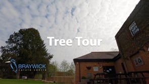 Tree Tour