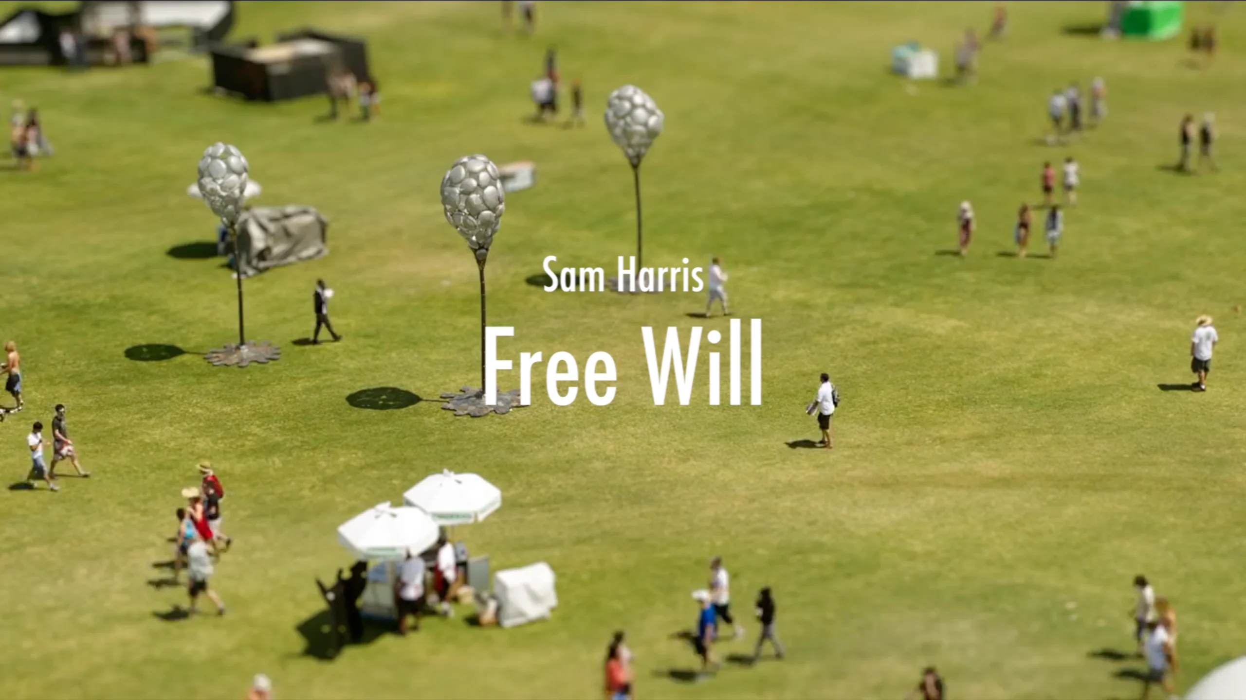 sam harris free will essay