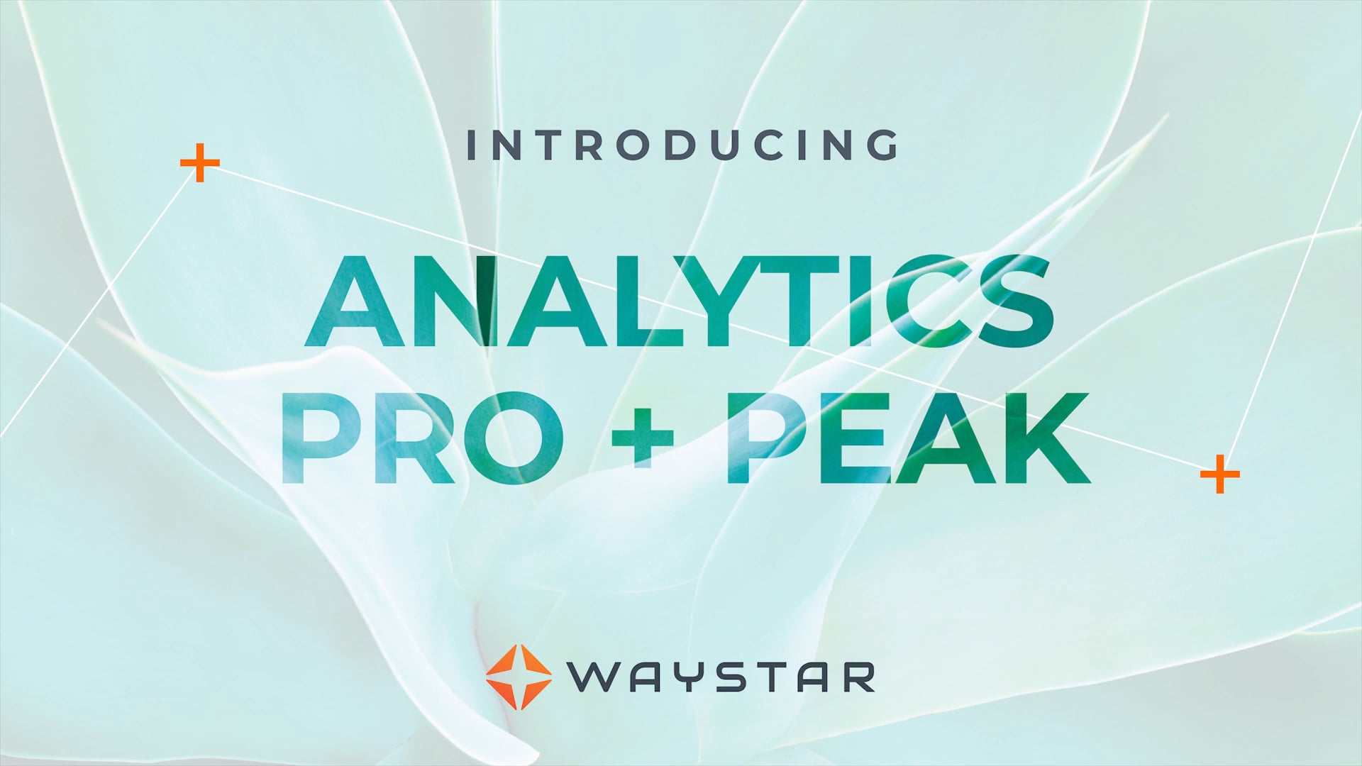 Analytics pro. Waystar. Waystar отзывы.