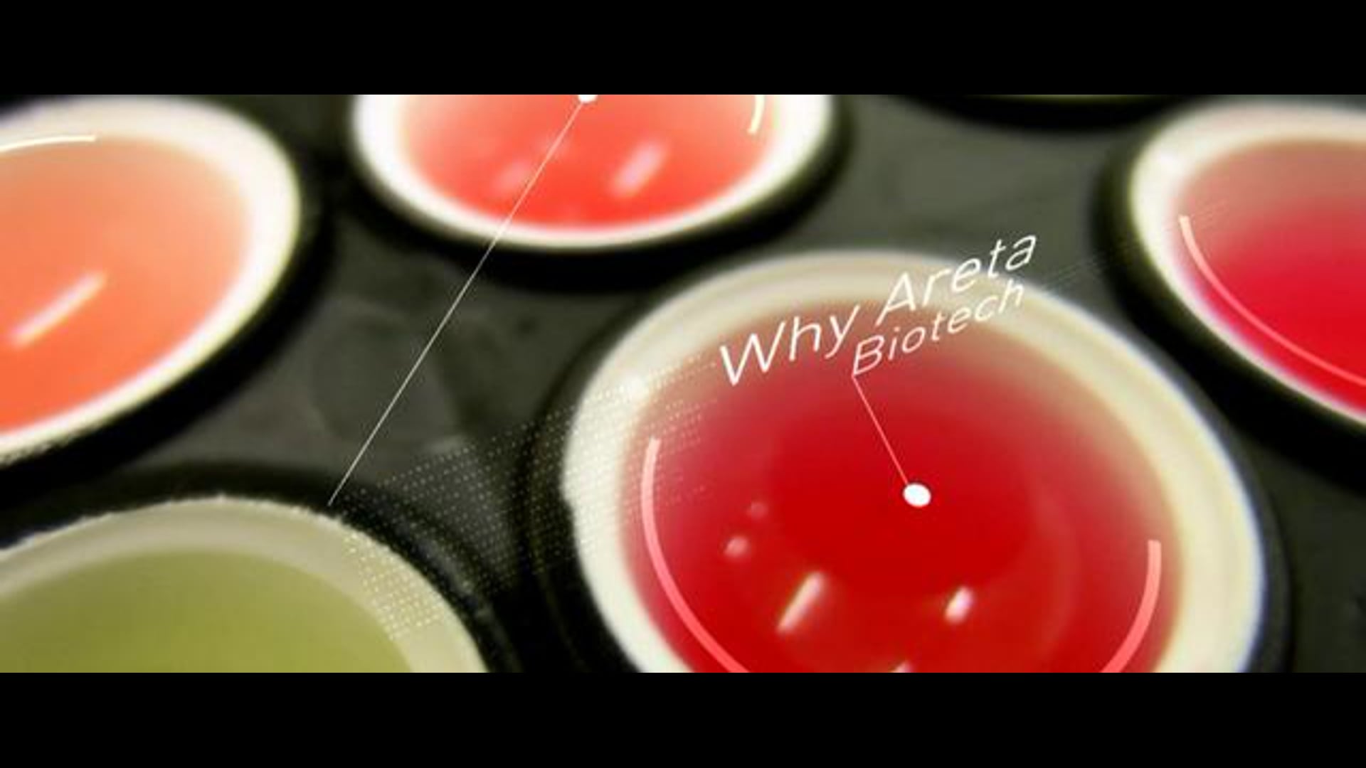 (commercial) Areta