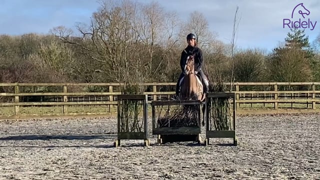 Preparing for skinny jumps