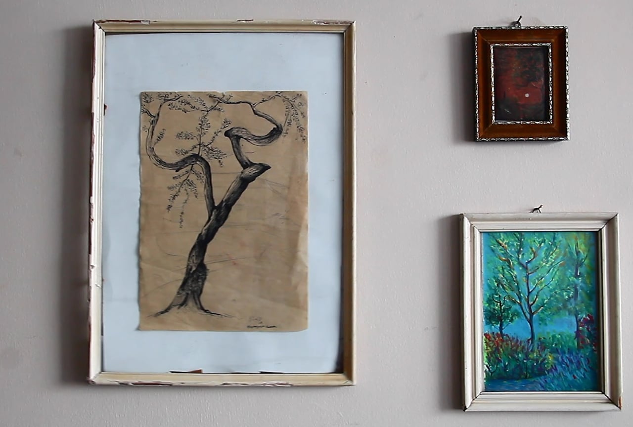 timeless trees