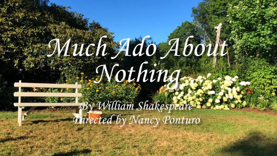 Much Ado About Nothing 2018
