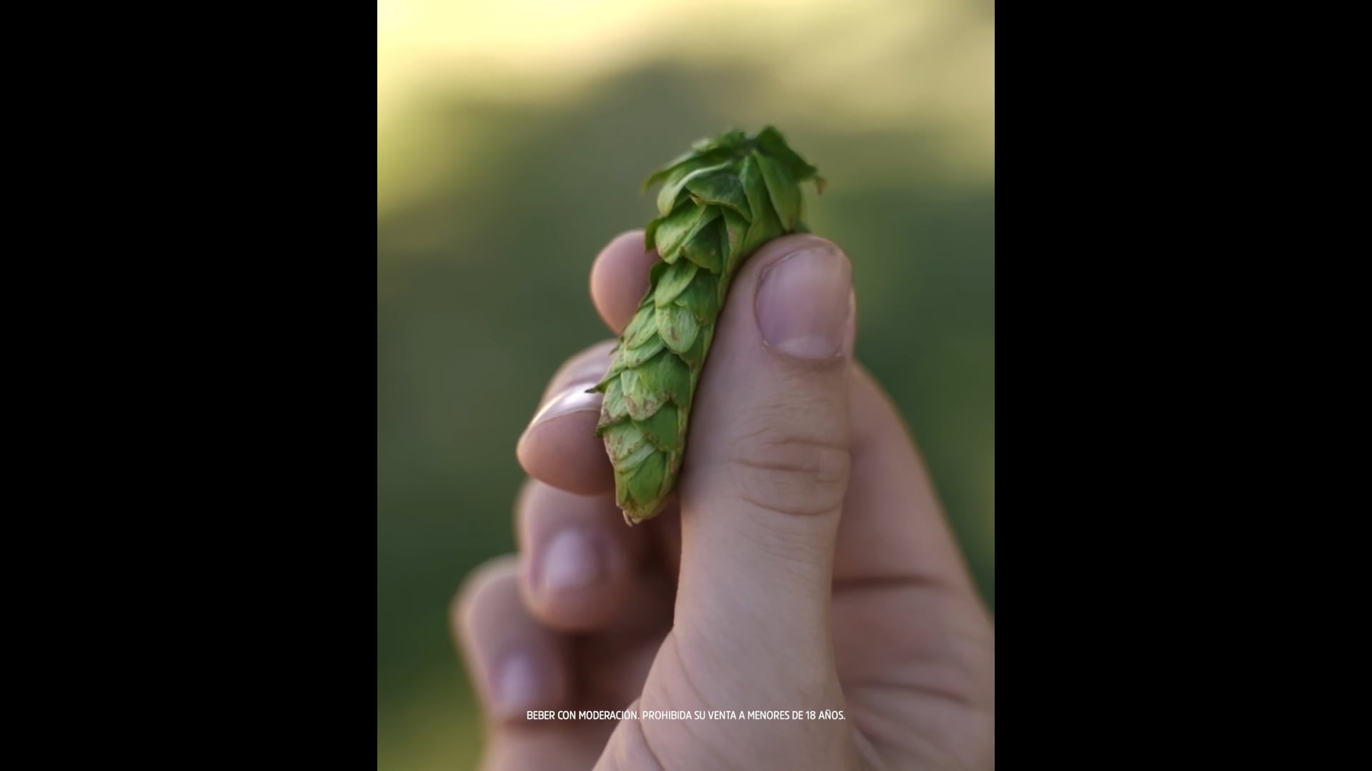Fernández IPA / Cerveza Patagonia