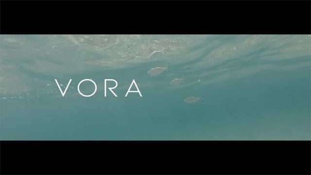 VORA