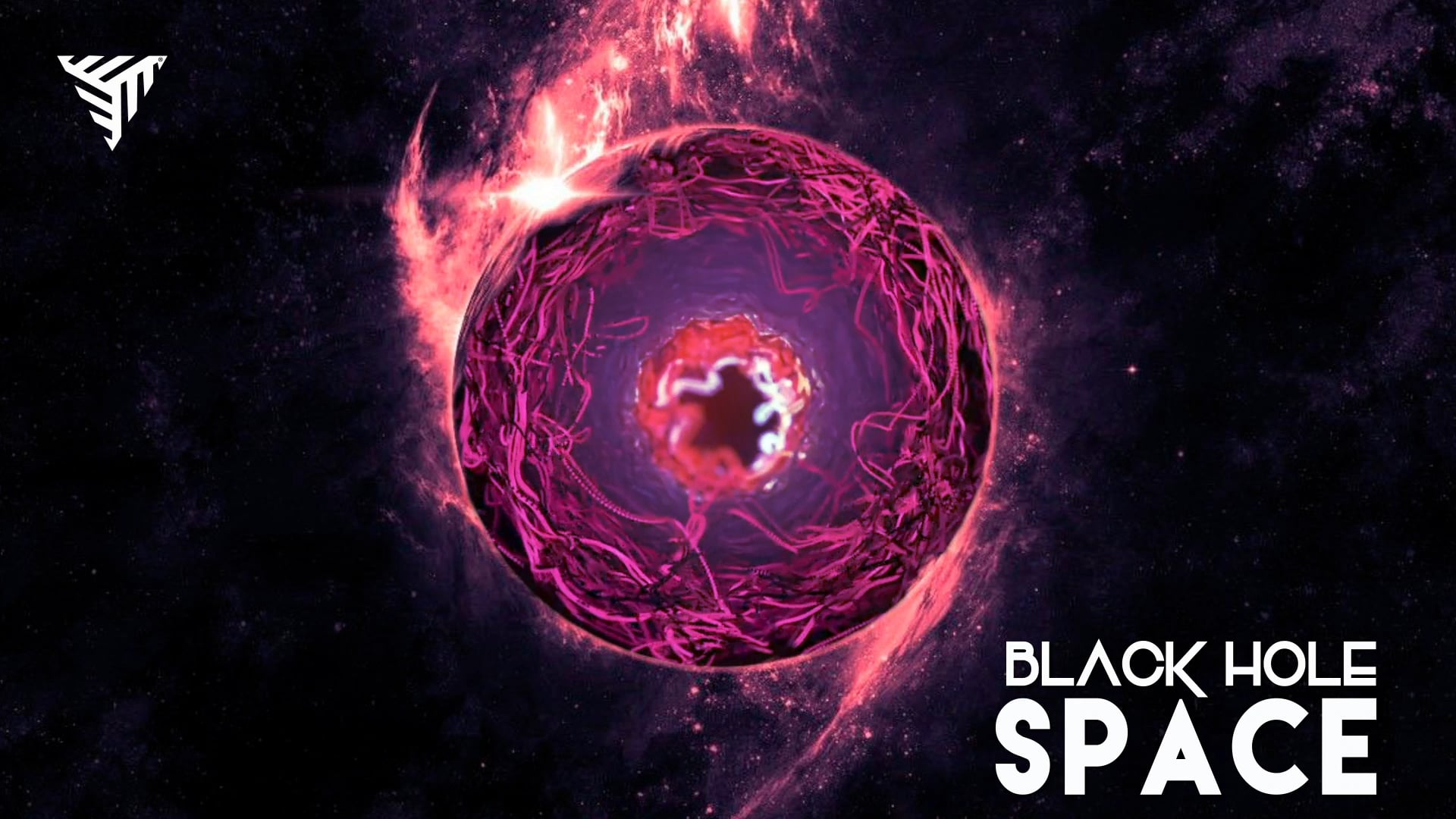 Black Hole Space