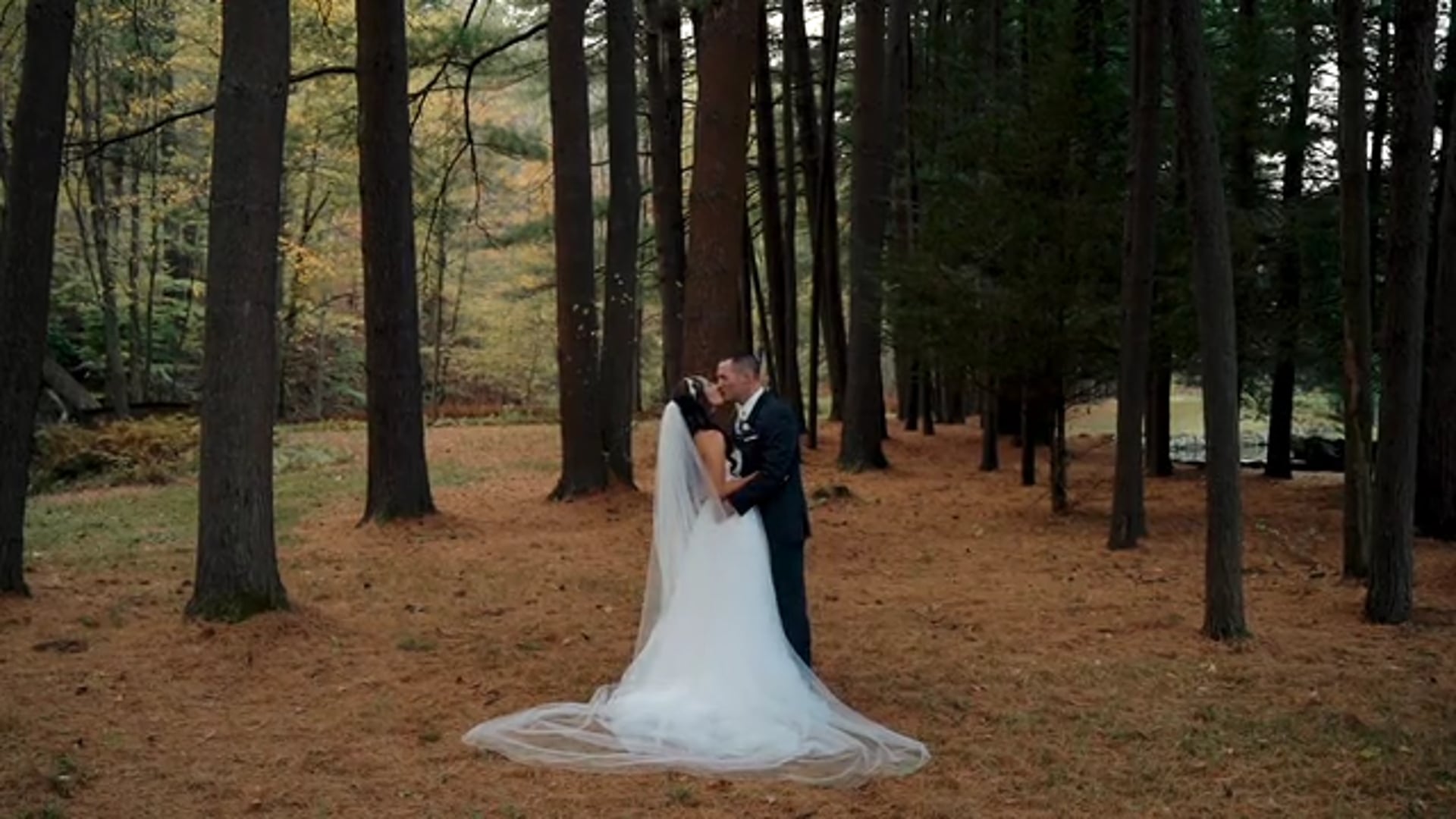 Promotional video thumbnail 1 for Sami Saunders Studio