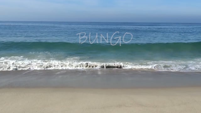 Bungo ( Bambú On The Go)