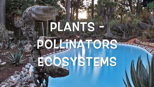 Plants, Pollinators, Ecosystems