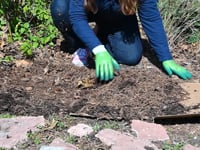 Weeding the WaterSaver Garden