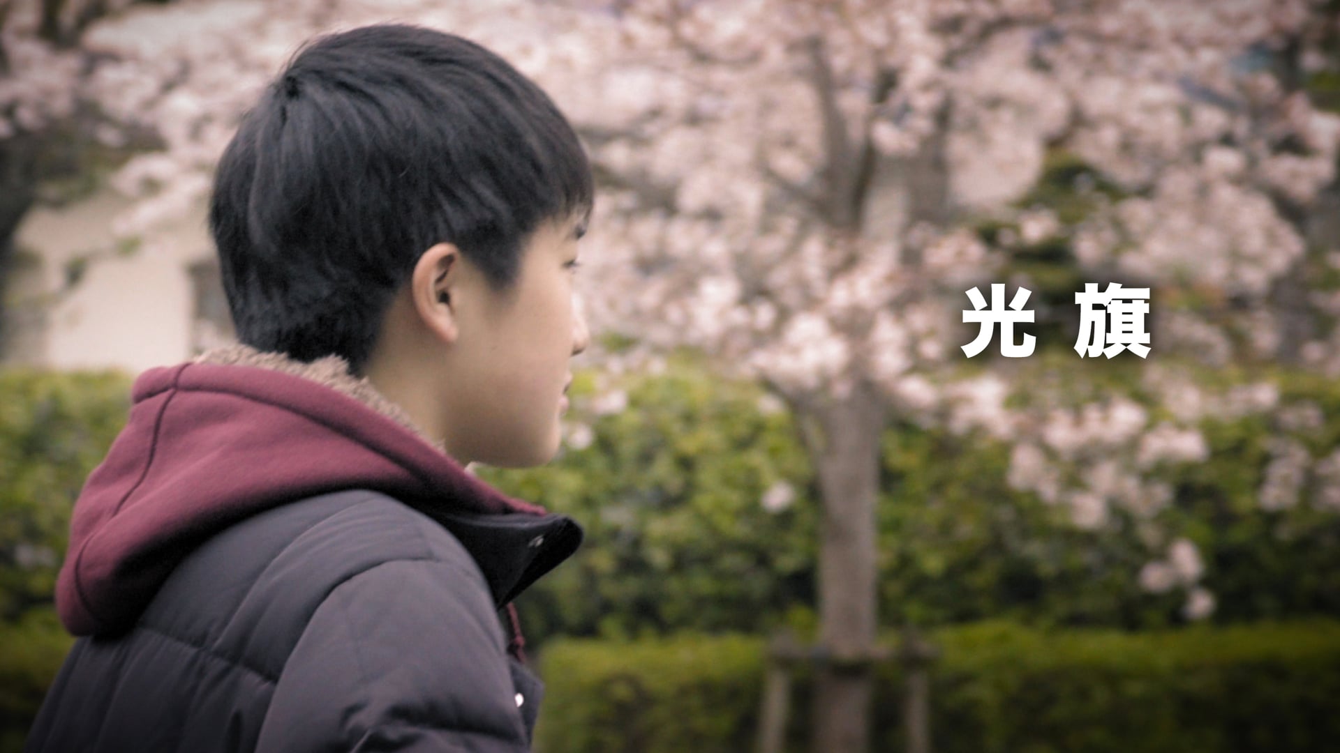 光旗