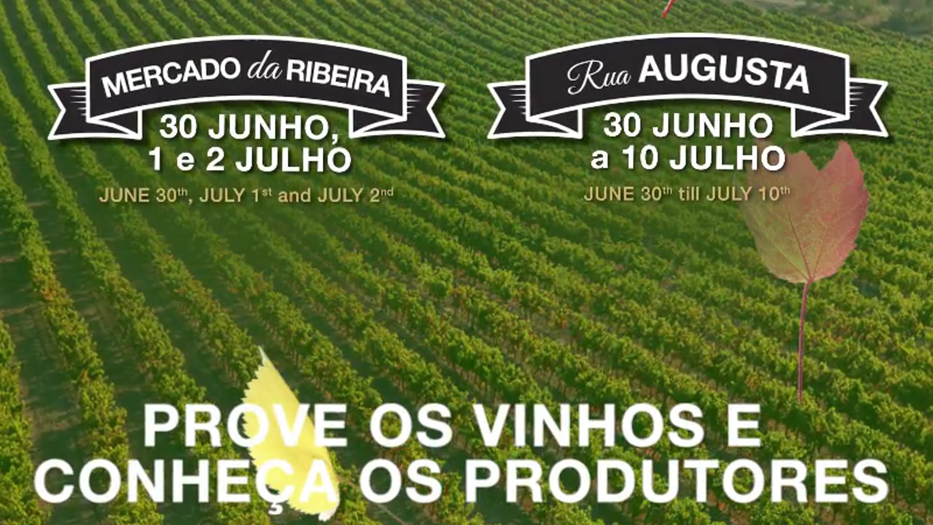 Vinhos de Lisboa