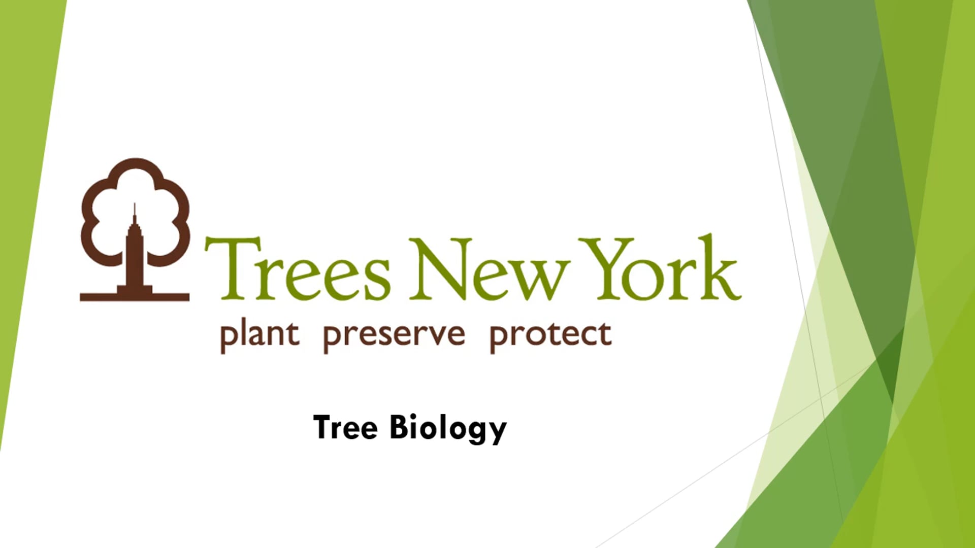 Street Tree Biology