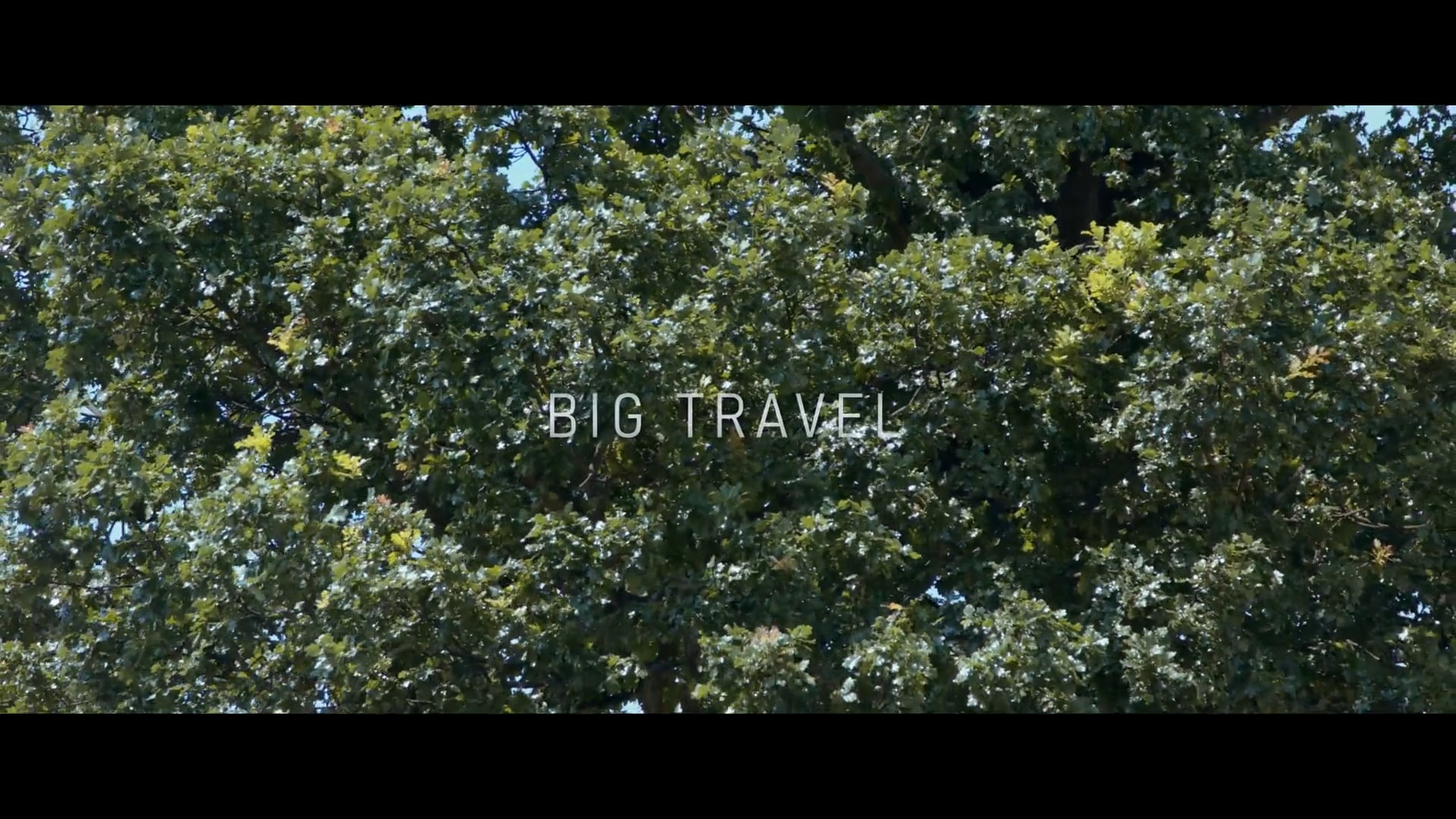 Big Travel