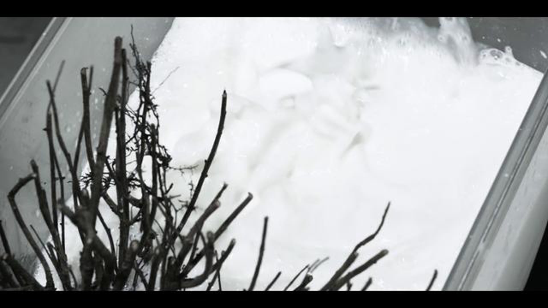 (music video) INTERFERENZE / My resurrection