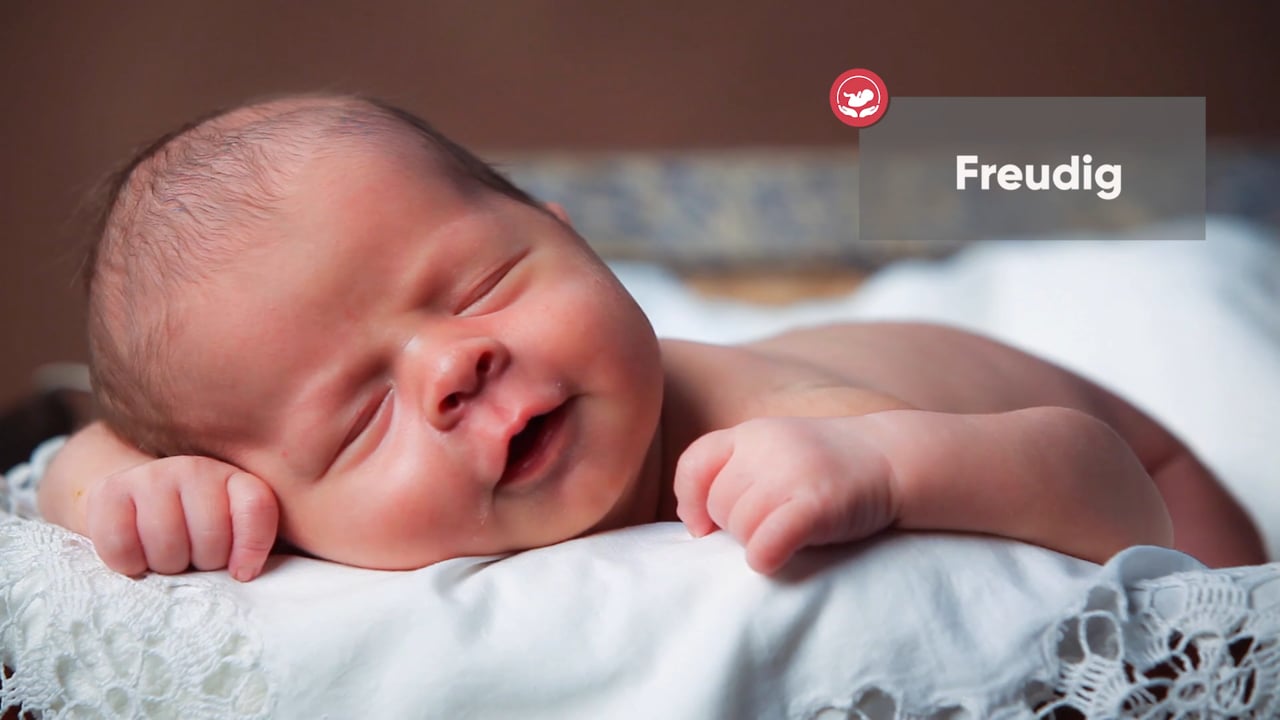 Der beste Schlaf für Babies – Videokurs zur Säuglingsruhe