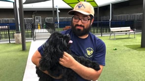 Park Staff Helping with Animal Care at the Shelter