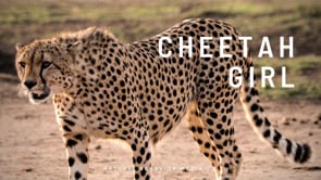 Cheetah Girl