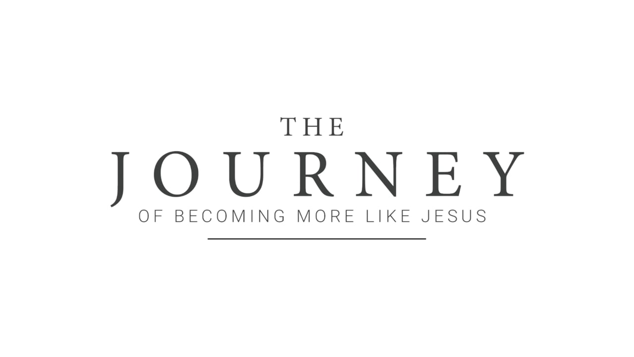 video image