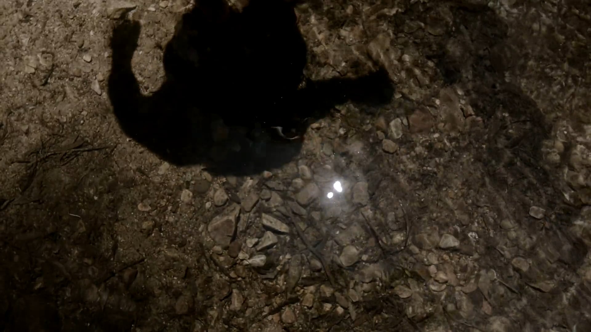 Eerstewater (First water)