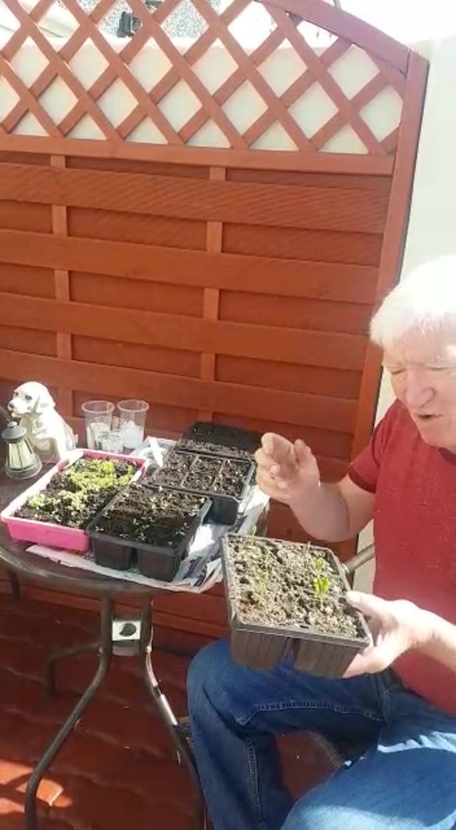 Gardening Part 2