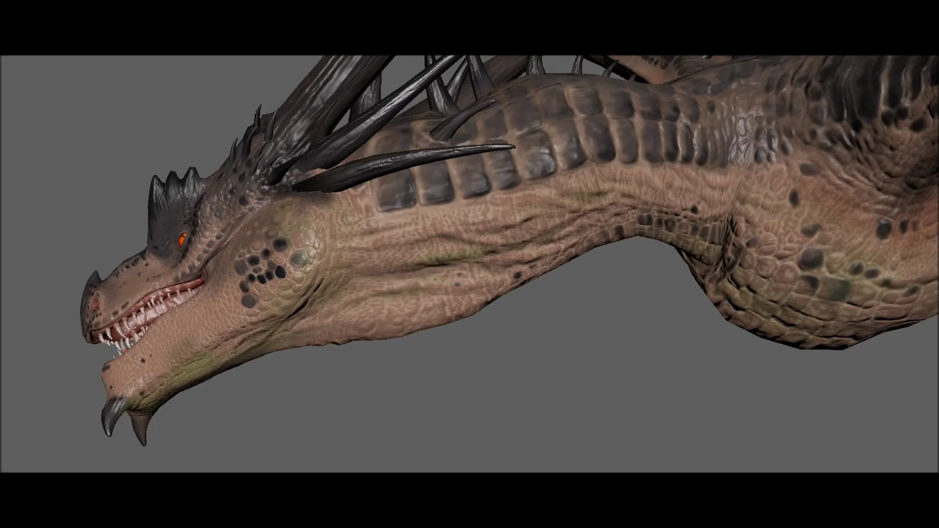 Dragon on Vimeo