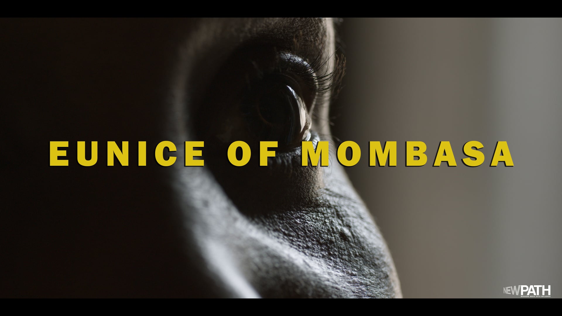 Eunice Of Mombasa