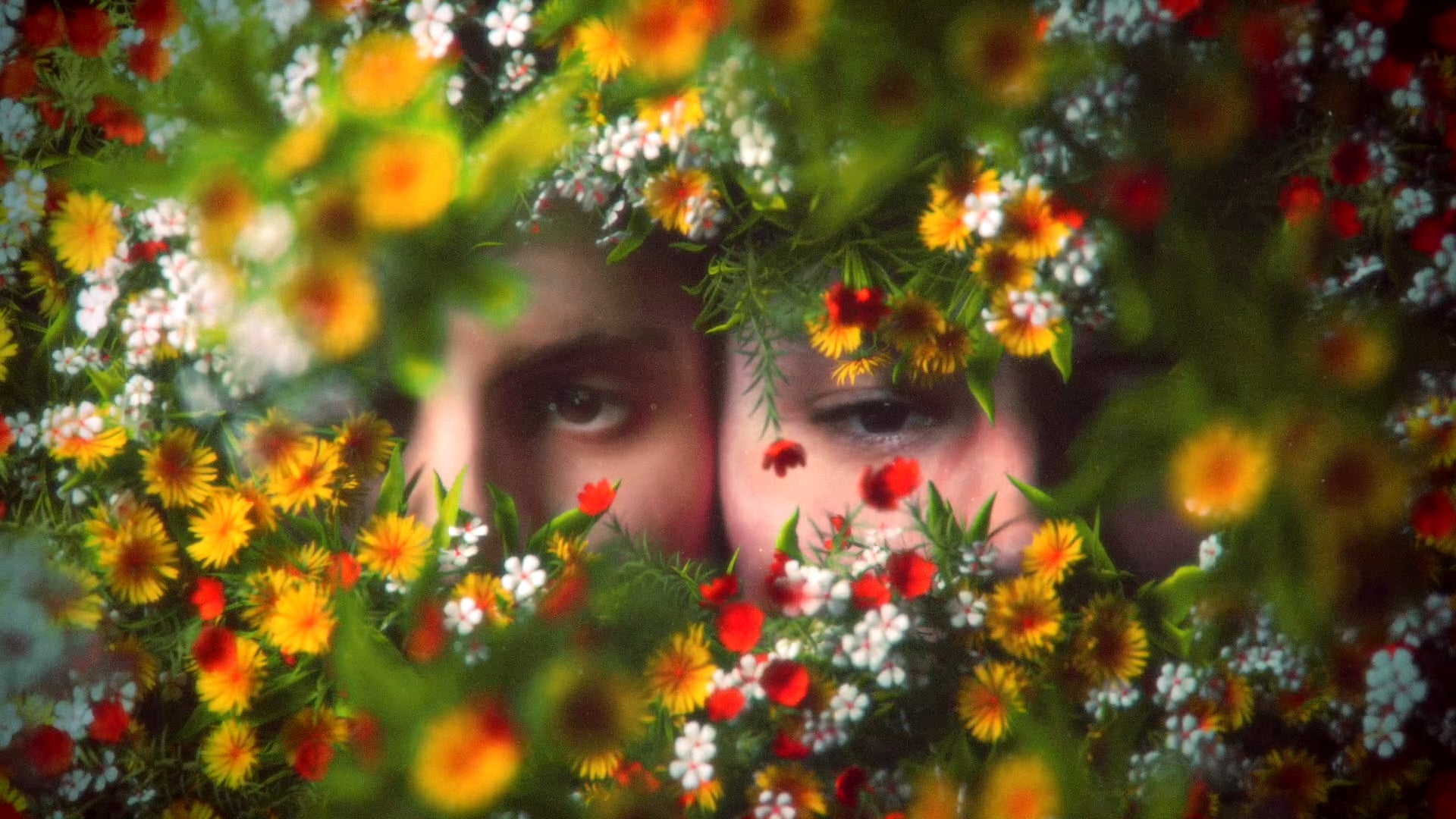 THE FRONT BOTTOMS - EVERYONE BLOOMS