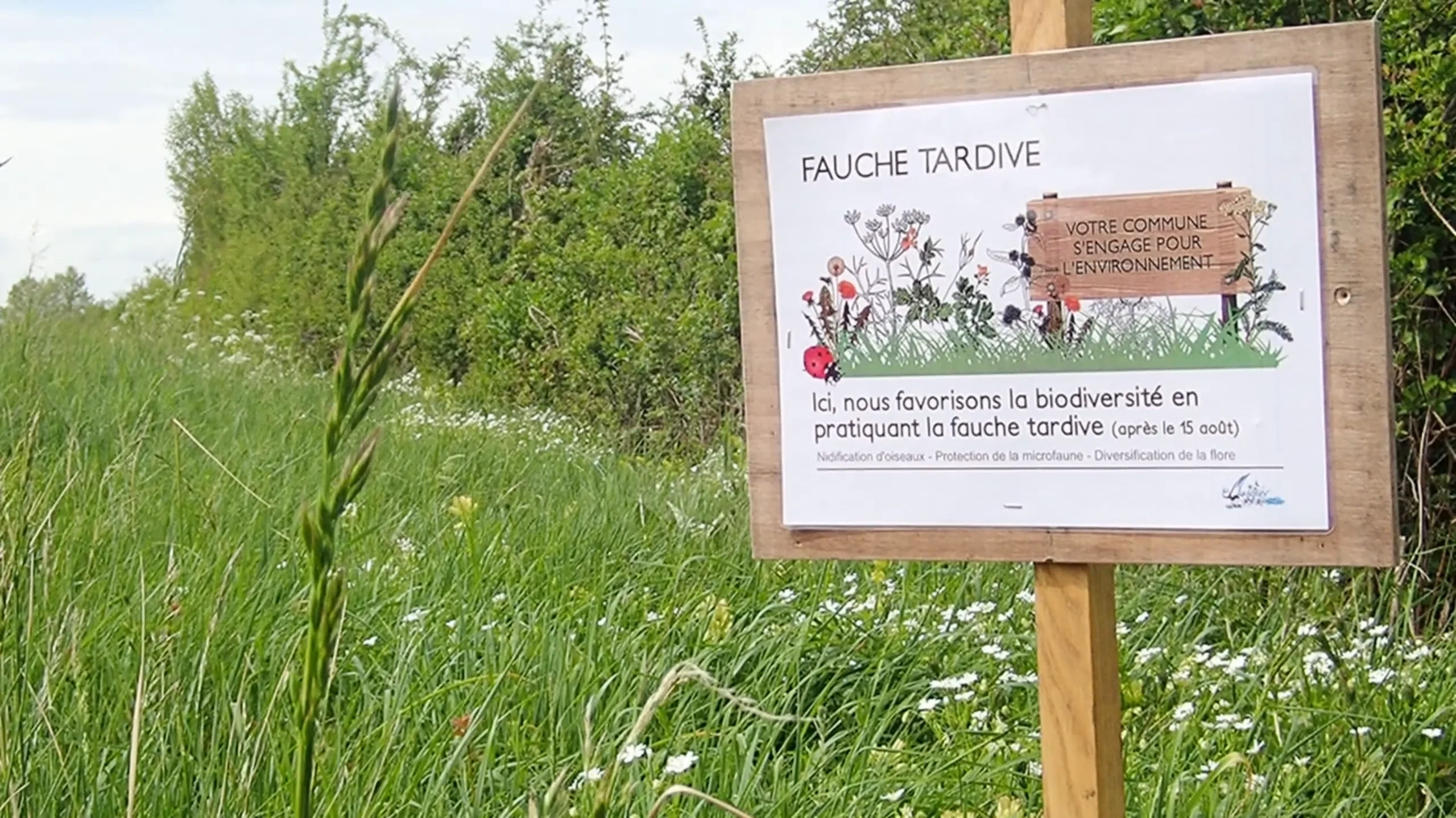 Fauche tardive & Sentier botanique - Magné (86) on Vimeo