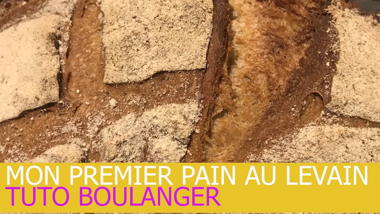 Votre premier pain au levain u2013 Ni Cru Ni Cuit