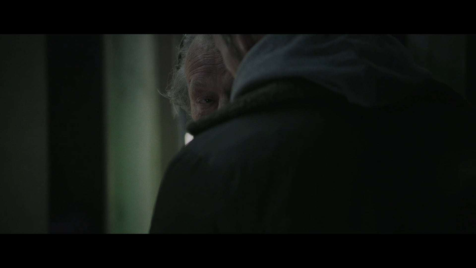 remise trailer