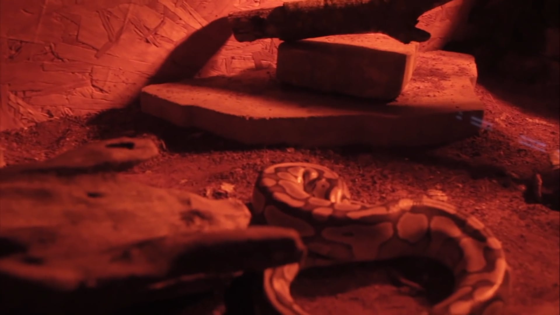 Sky-Short Film-JA