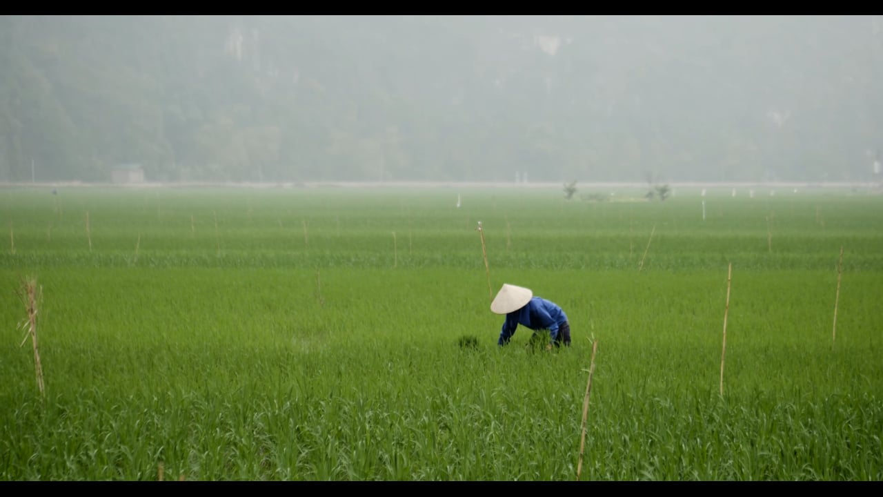 Asie - Vietnam, Philippines [See The World] - Février 2019