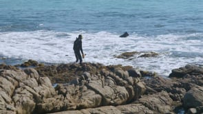 NSW Government must suspend prosecutions of Aboriginal cultural fishers