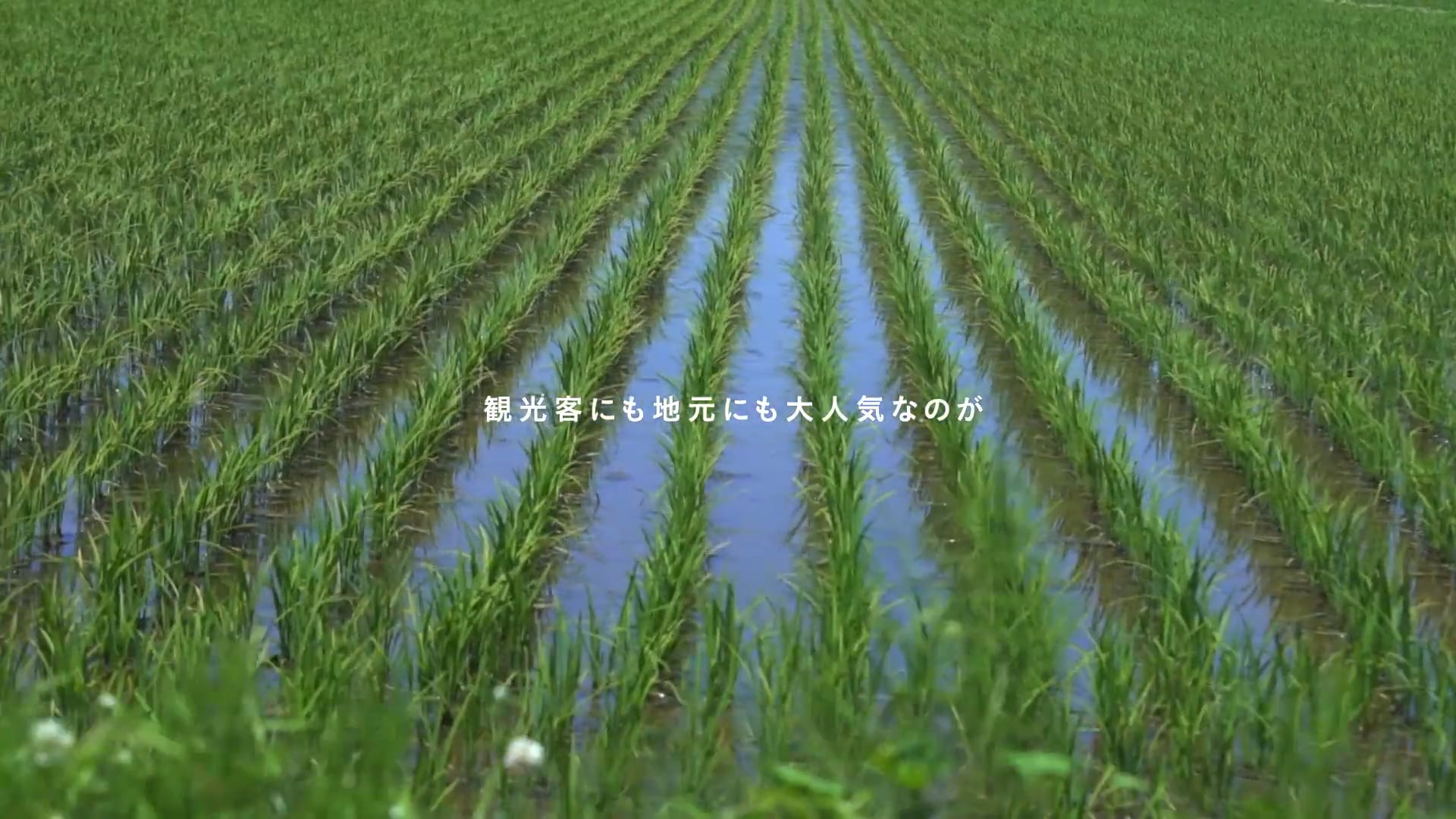 美食