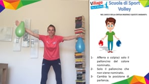 VOLLEY #5