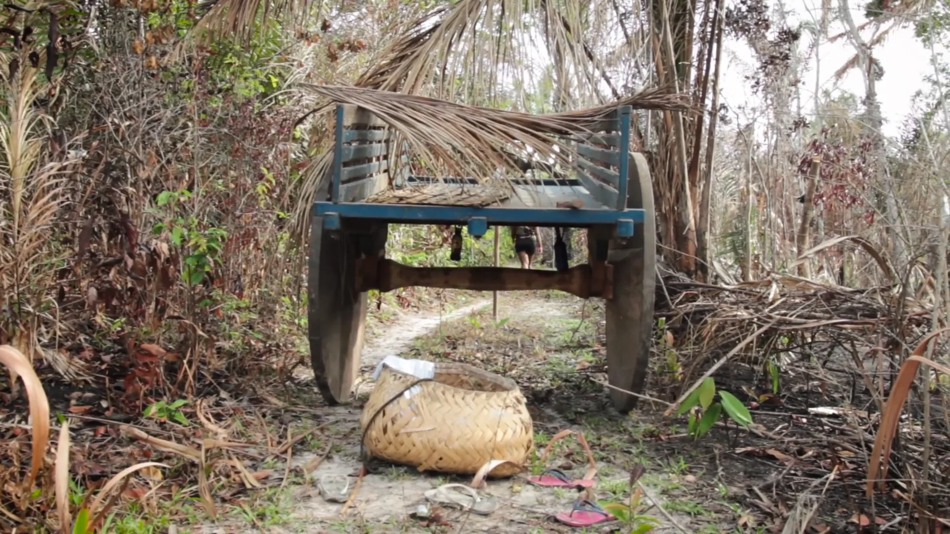 ESPERANÇA-QUILOMBO MATA CAVALO - MT on Vimeo