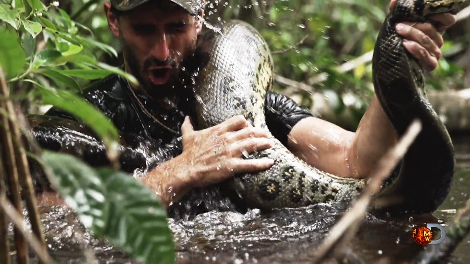 Discovery  Eaten Alive / Sneak Peek