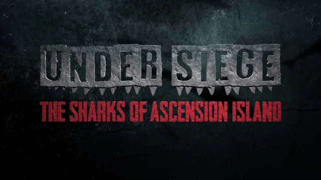 Under Siege The Sharks of Ascension Island Promo