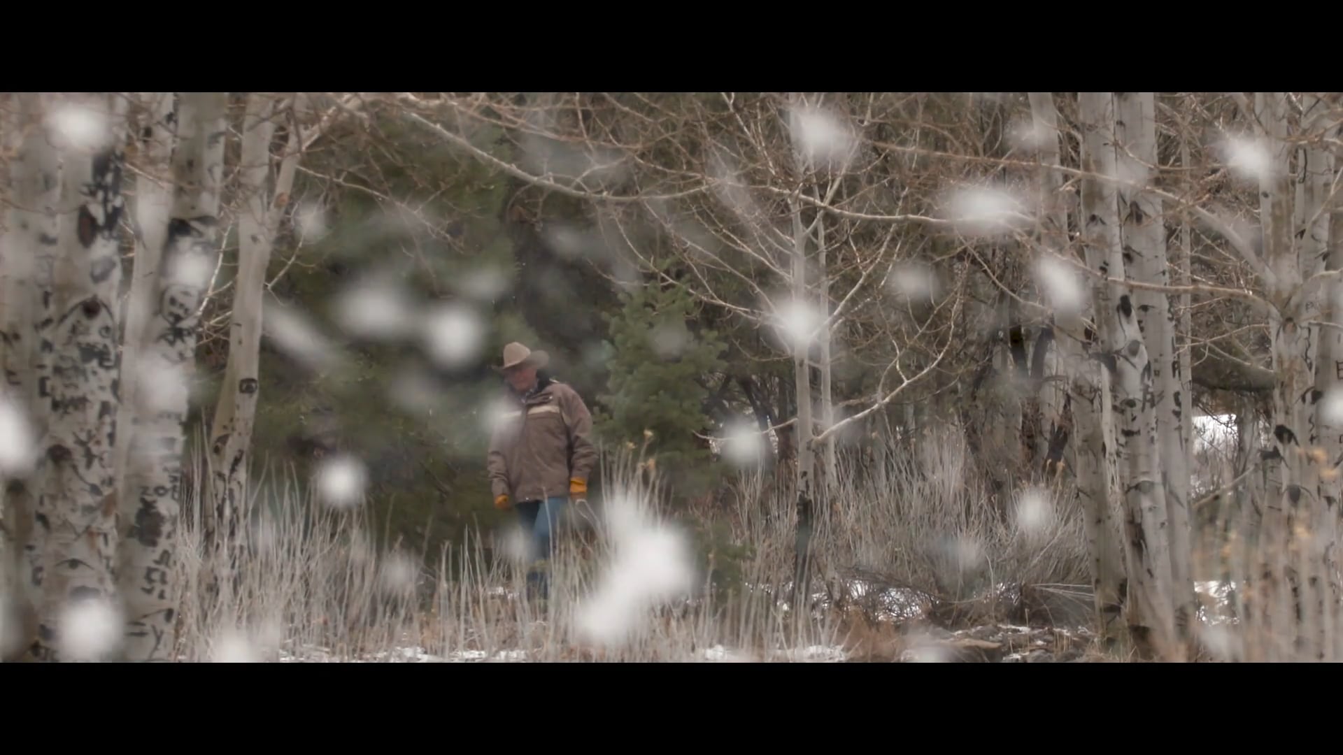 Promotional video thumbnail 3 for Montgomery Media Productions