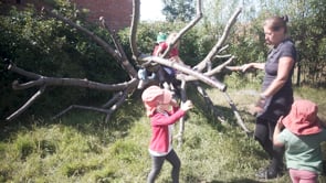 Tree climbing thumbnail