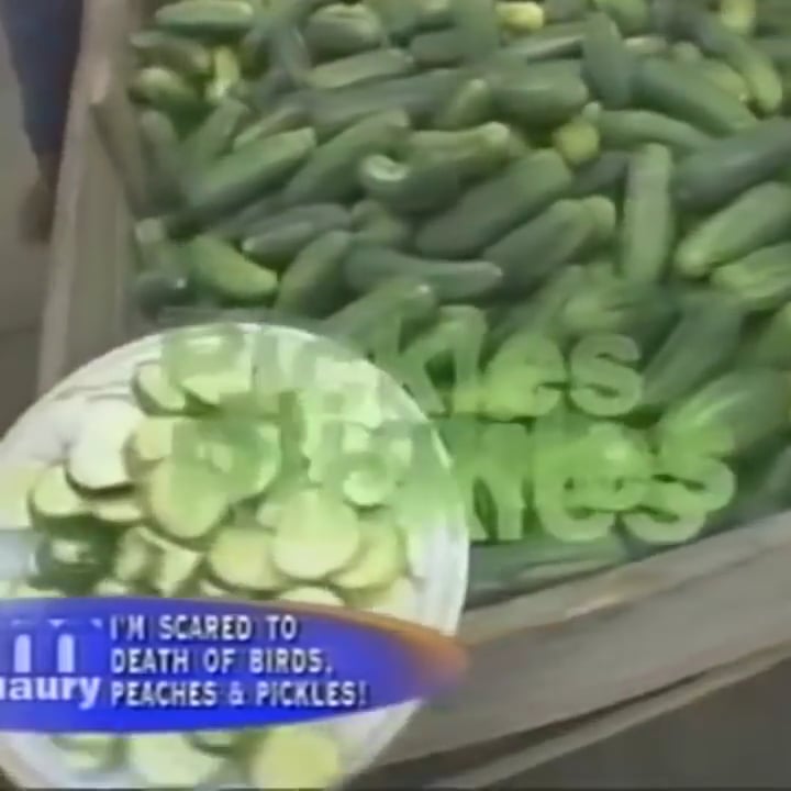 Fear Of Pickles Vine on Vimeo