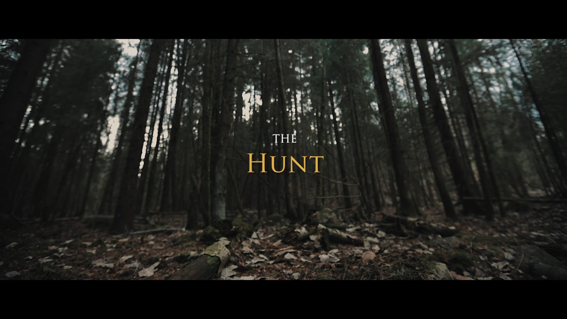 The Hunt 2020