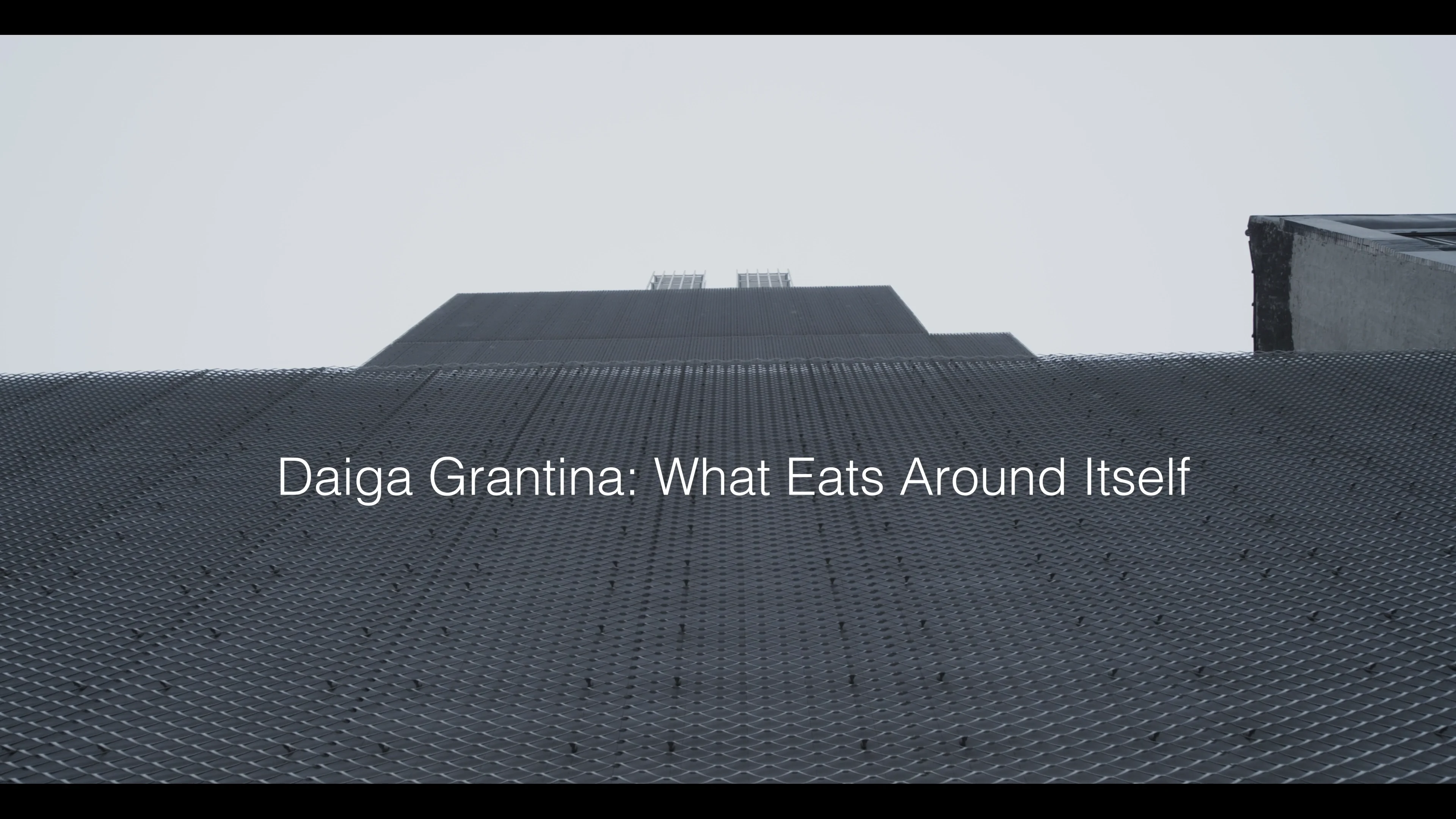 Daiga Grantina - New Museum - KVADRAT on Vimeo