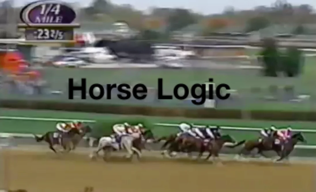 Horse Logic on Vimeo